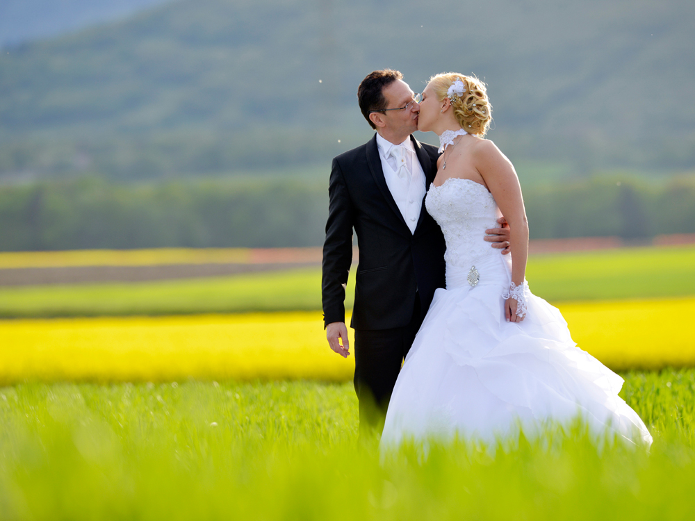 mariage paysage couleur